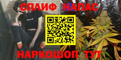 тгк Моздок