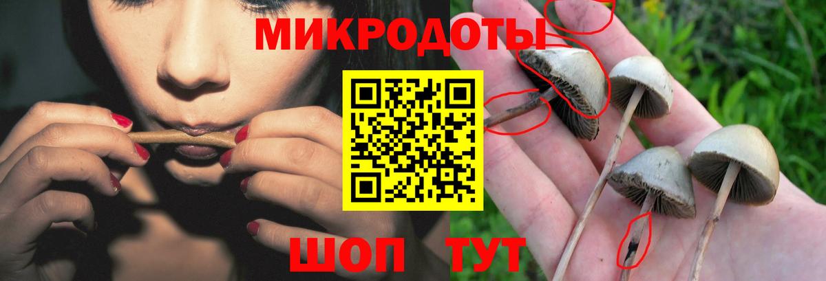 Галлюциногенные грибы MAGIC MUSHROOMS Осинники